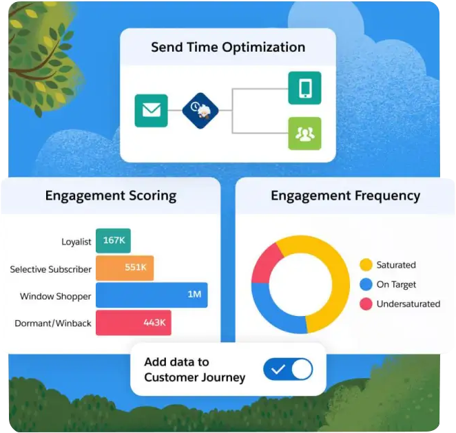 Salesforce marketing AI Implementation service